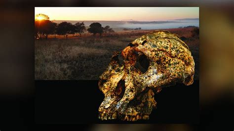 Image result for Microevolution Documentary