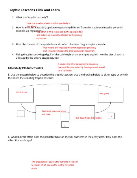 Trophic cascades-trophic cascade click and learn-submission ...