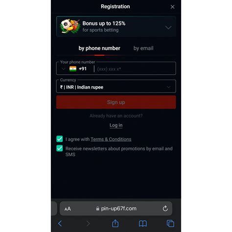 Pin Up App Download APK for Android and iOS in India 2026