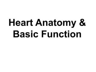 Tutorial of How a Heart Functions 的图像结果