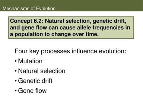 Biological Evolution 的图像结果