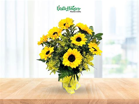 Tips on How To Care For Cut Sunflowers