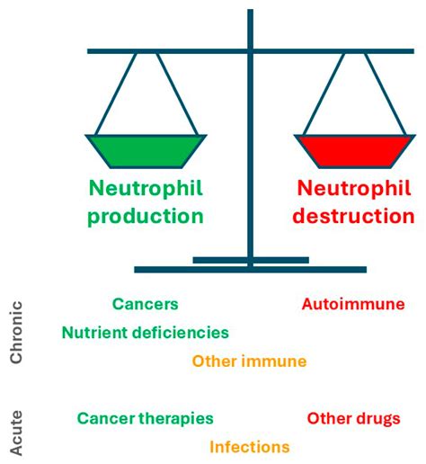 Secondary Neutropenias