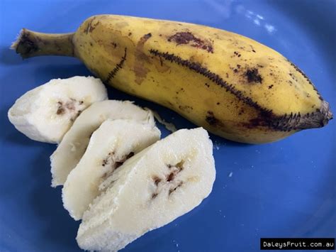 Image result for Blue Java App