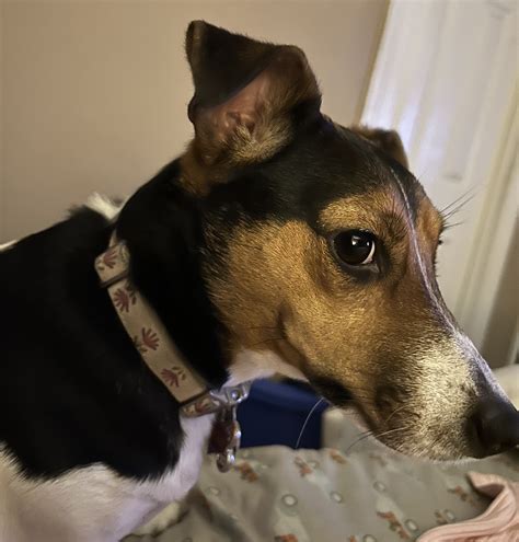 Image result for Ce4Less Coupon Code