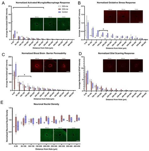 Fabrication Methods and Chronic In Vivo Validation of Mechanically ...