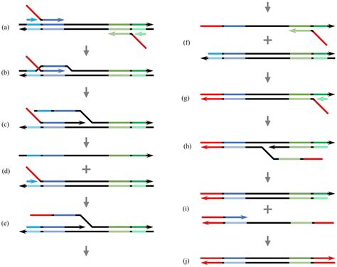 Yb Alexander Vincent