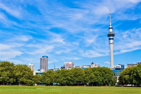AUCKLAND SELF GUIDED WALKING TOURS(TRIPPYTOURGUIDE) (2026) All You Need ...