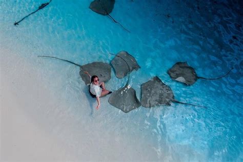 2023 Maafushi: Snorkeling in Maldives full day trip