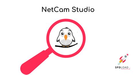 Image result for Free Motion Detection Software