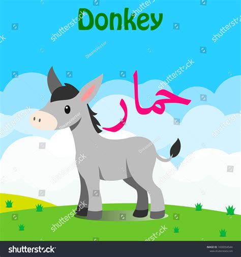 What Is A Donkey In Arabic at Steve Gonzalez blog