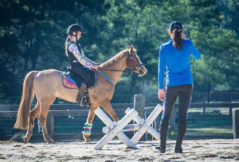 Buy Wild Scrumpy Horse Riding Jodhpur Tights with Silicone, Pockets and ...