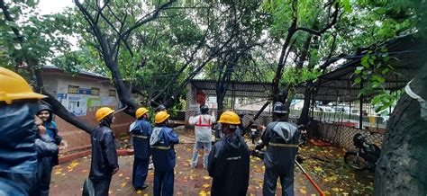 Doc Destiny: The month of Aquarius