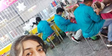 Pet Grooming Course
