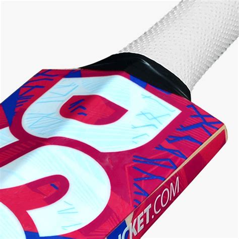 Dsc Intense Ferocity English Willow Bat – Romjee Sports Llp