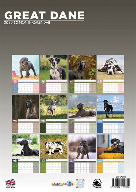 Great Dane Calendar 2025 – CalendarsRus