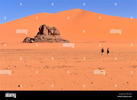 Image result for Database Testing Animation
