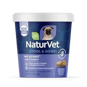 Buy NaturVet - No Scoot for Dogs - 60 Soft Chews - Plus Pumpkin ...