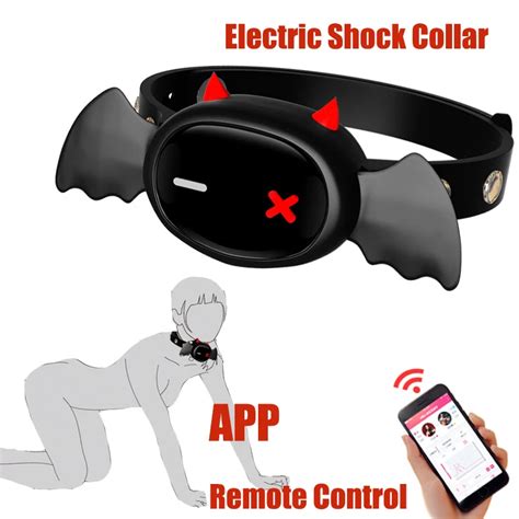 Image result for Remote Locking Collar