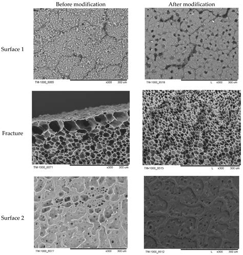 Modification of PLA Scaffold Surface for Medical Applications