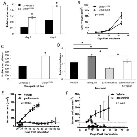 Activation of ERBB4 in Glioblastoma Can Contribute to Increased ...