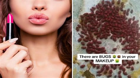 Lipstick लगाती हैं तो देख लें ये VIDEO, कीड़े से तैयार होते हैं इसके ...