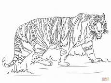 malvorlagen tiger kostenlos ausdrucken ausmalbild gehender tiger ausmalbilder kostenlos zum malvorlagen tiger kostenlos ausdrucken ausmalbild gehender tiger ausmalbilder kostenlos zum