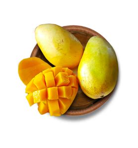 The Science - Indian Dental Organization