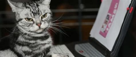 Image result for Error Status Codes