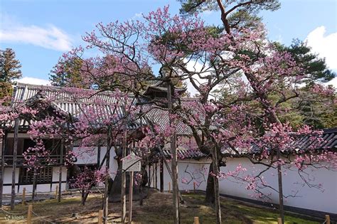One-Day Bus Tour to Matsushima, One of the Three Scenic Spots of Japan ...