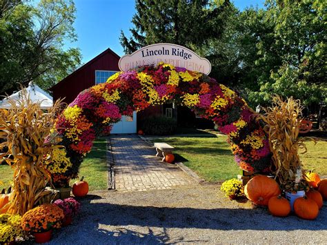 Harvesting Heritage: The Legacy of Lincoln Ridge Farms | Paulding ...