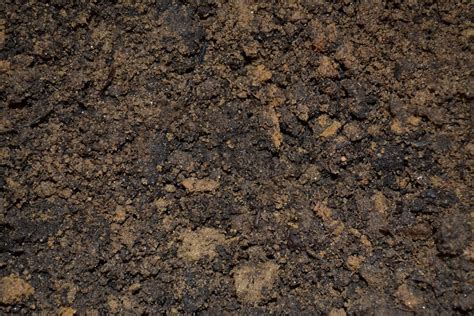 Image result for Soil Code