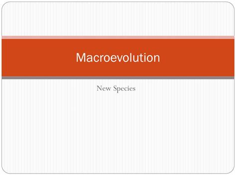 Image result for Macroevolution Controversy