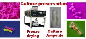 Dairy Microbiology | Official Website of ICAR-National Dairy Research ...