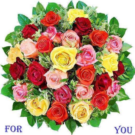 Roses for you - DesiComments.com