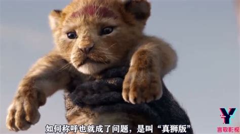 【粤语配音】狮子王真人版与狮子王动画版对比_哔哩哔哩_bilibili