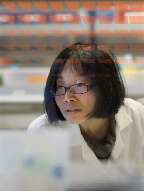 Embase Resources | Elsevier