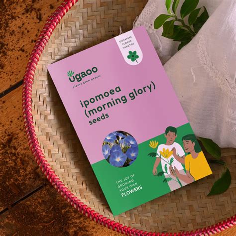 Ipomoea Morning Glory Seeds – Ugaoo