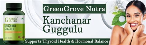 Buy GreenGrove Nutra Kanchanar Guggulu Supreme Formula - Supports ...
