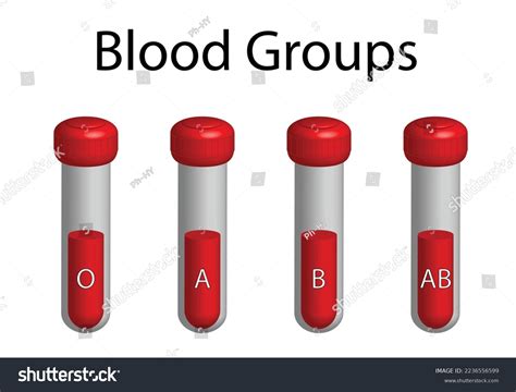 Blood Groups Test Tube 3d Design Stock Vector (Royalty Free) 2236556599 ...