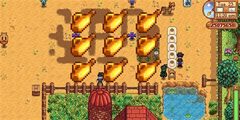 Stardew Valley: How to Get Rainbow Trout