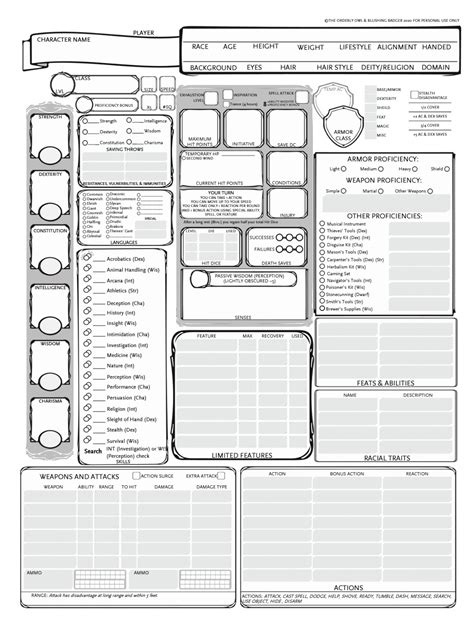 Character Sheet Printable