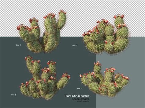 Different types of trees and cactus | Premium PSD