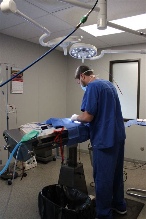 Photo Gallery | Cedar Park Animal Clinic