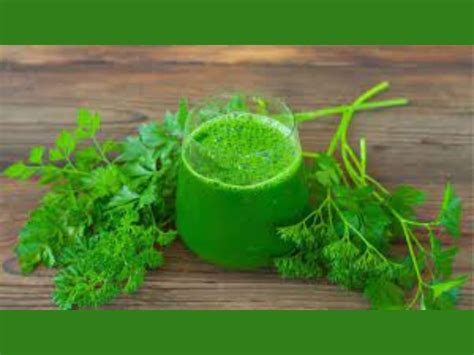 Health Benefits Of Dhania Water | வரக்கொத்தமல்லிக்கும் பச்சை ...