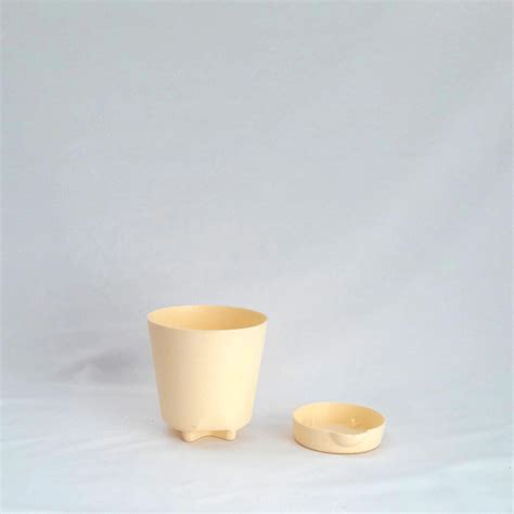 Gardenista Self-Watering Pot- 5 Inches Cream (Set of 2)