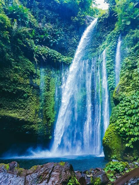 Free Image on Pixabay - Waterfall, Nature, Water | Waterfall landscape ...