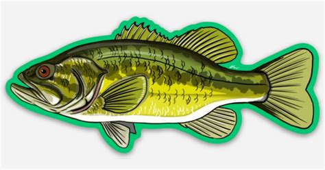 Largemouth Bass 4”x1.74” by The Pipe & Trout | Die cut stickers ...