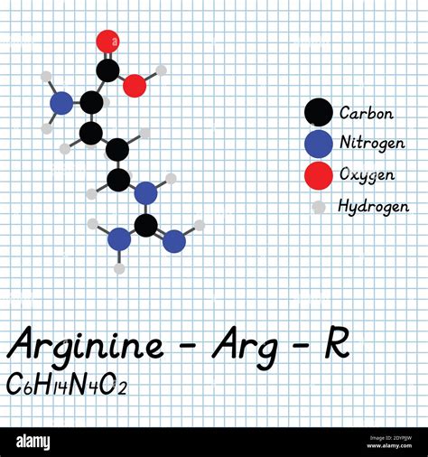 Arginine 3d Structure