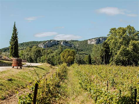 DOMAINE DU COLOMBIER - All You Need to Know BEFORE You Go 2026 (with ...